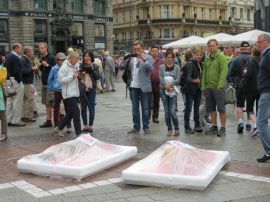Tiere als Billigware