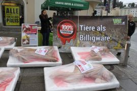 Fleischtassen
