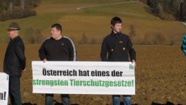 Gegendemo