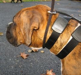 Illusioncollar