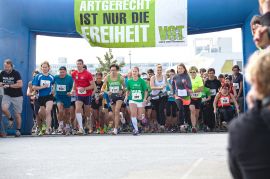 Hauptlauf