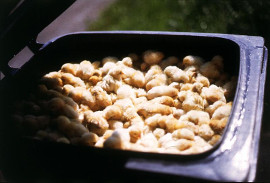 Küken