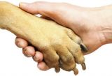 Komm zur Human-Animal Studies Konferenz an die Uni Innsbruck!