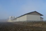 ÖVP-NÖ verbietet TierschützerInnen Missstände in Tierfabriken aufzudecken!