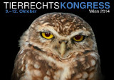 TRK 2014: So großes Interesse wie noch nie