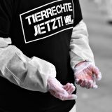 "Tierrechte-Jetzt" in Innsbruck