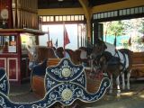 Schluss mit dem Ponykarussell!