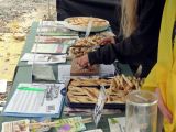 Besucheransturm auf VGT-Infostand beim Szene Openair in Lustenau