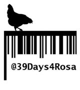 Rosa das Huhn tourt durch Europa