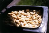 Welt-Ei-Tag am 10.10.2014: Tierleid durch industrielle Eiproduktion
