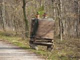 Jagdgesetzesnovelle Steiermark: Jäger Landesrat Seitinger verschleiert Wahrheit