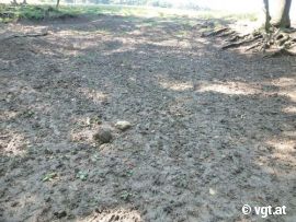 Bodenerosion