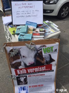 Kalb vermisst