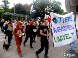 Demo Linz