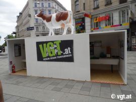 Ausstellung