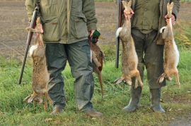 Jagd