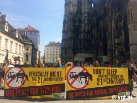 Demo Stephansplatz