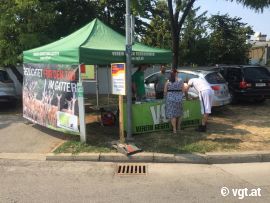Infostand