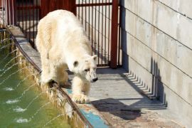 Zoo