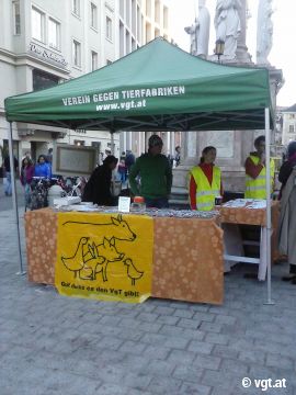 Infostand