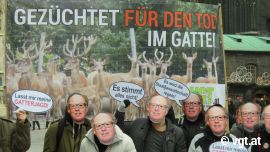 Gatterjagd