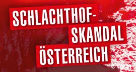 Schlachthof