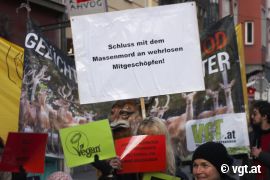 Schild