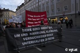 großes Transparent