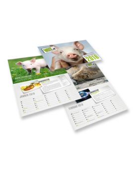 Kalender