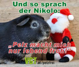Nikolo