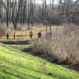 Liechtenstein-Jagd Hohenau an der March: Verfahren gegen Jäger eingestellt.