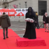 Neuer Film zu VGT-Pelzaktion am Wiener Stephansplatz!