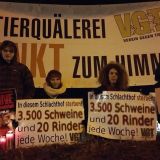Heute 8-18 Uhr: Tierschutzdemo des VGT vor Hollabrunner Schlachthof