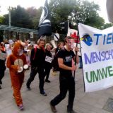 Aktiver Sommer in Linz