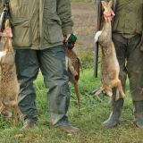 Verwaltungsgerichtshof gibt VGT recht: Privatstraße auch bei Jagdsperre betretbar