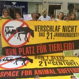 „Pferde raus aus der Stadt!“
