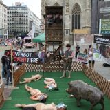 Morgen Dienstag VGT-Gatterjagdaktion am Riemerplatz in St. Pölten