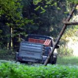 Mensdorff-Pouilly: Erneuter Jagdversuch auf Zuchtfasane von VGT vereitelt!