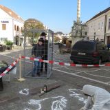 Heftige Kritik an Jagd auf Zuchttiere im Burgenland – VGT: wir gehen nicht weg!