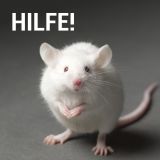 Kriterienkatalog Tierversuche: letzte Chance für eine vernünftige Regelung!