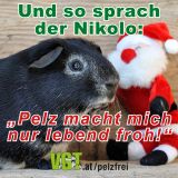 Die Pelzkampagne läuft auf Hochtouren!