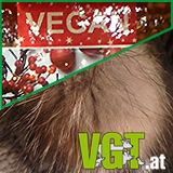 Der große VGT-Weihnachtsmarkt-Check