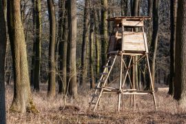 Hochstand