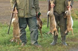 Jagd