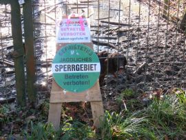 Hund blickt hinter Gatterjagd-Warnschild hervor