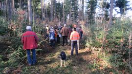 Eine gGruppe von Menschen im Wald