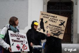 Tierrechte