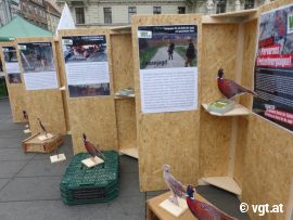 Ausstellung