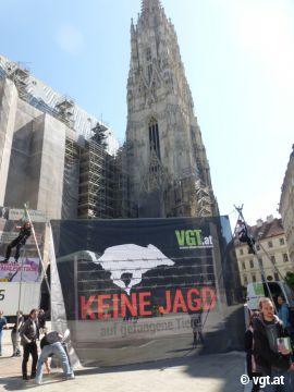 Banner auf Tripod
