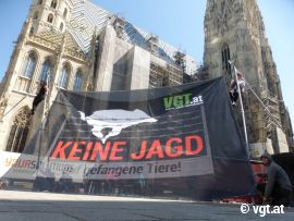 AktivistInnen beim Banner vor dem Stephansdom
